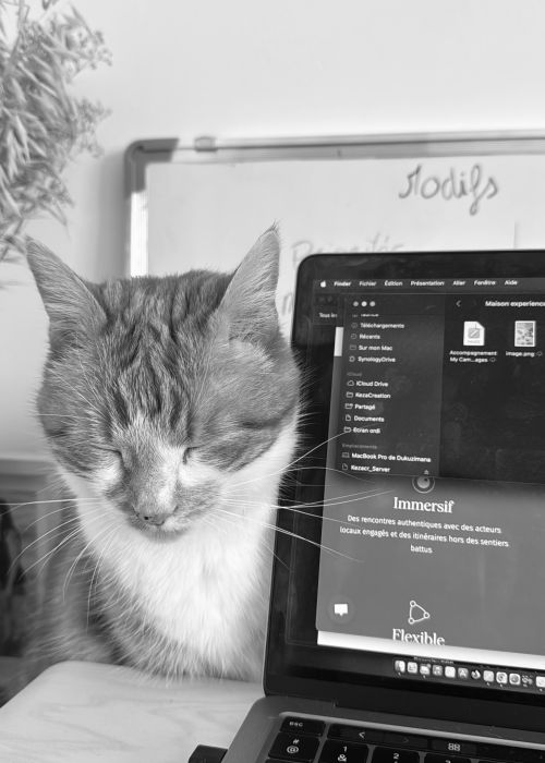 ig media album 17868820125520829 Votre agence de communication familiale & engagée Kezacréation Votre marque porte votre mission, votre histoire. Elle crée du lien. Pour attirer vos clients de cœur, elle doit être visible. Mais pas à n’importe quel prix. Être reconnue, oui. Mais le branding sans âme, non merci. Chez KezaCréation, nous plantons les graines d’une identité durable pour les marques ambitieuses. Celles qu’on reconnaît. Celles qu’on ressent.